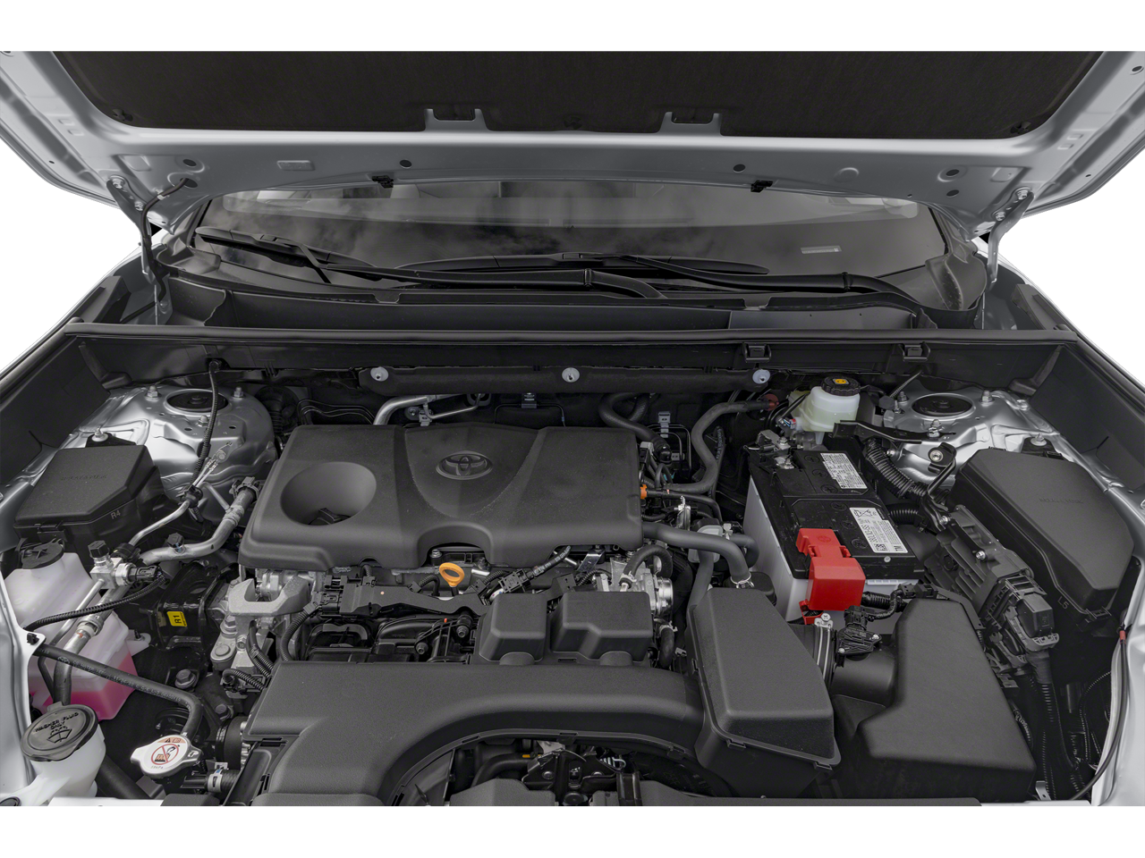 2025 Toyota RAV4 XLE Carbravo Certified
