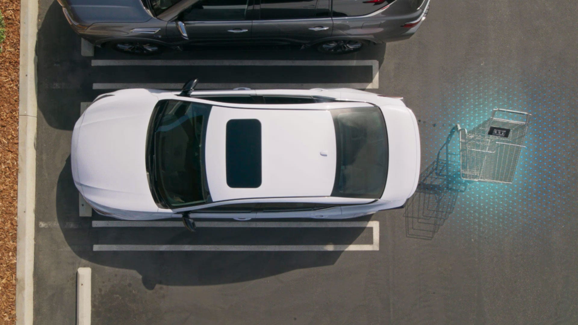 2026 Nissan Altima | Miller Nissan in St. Cloud, MN